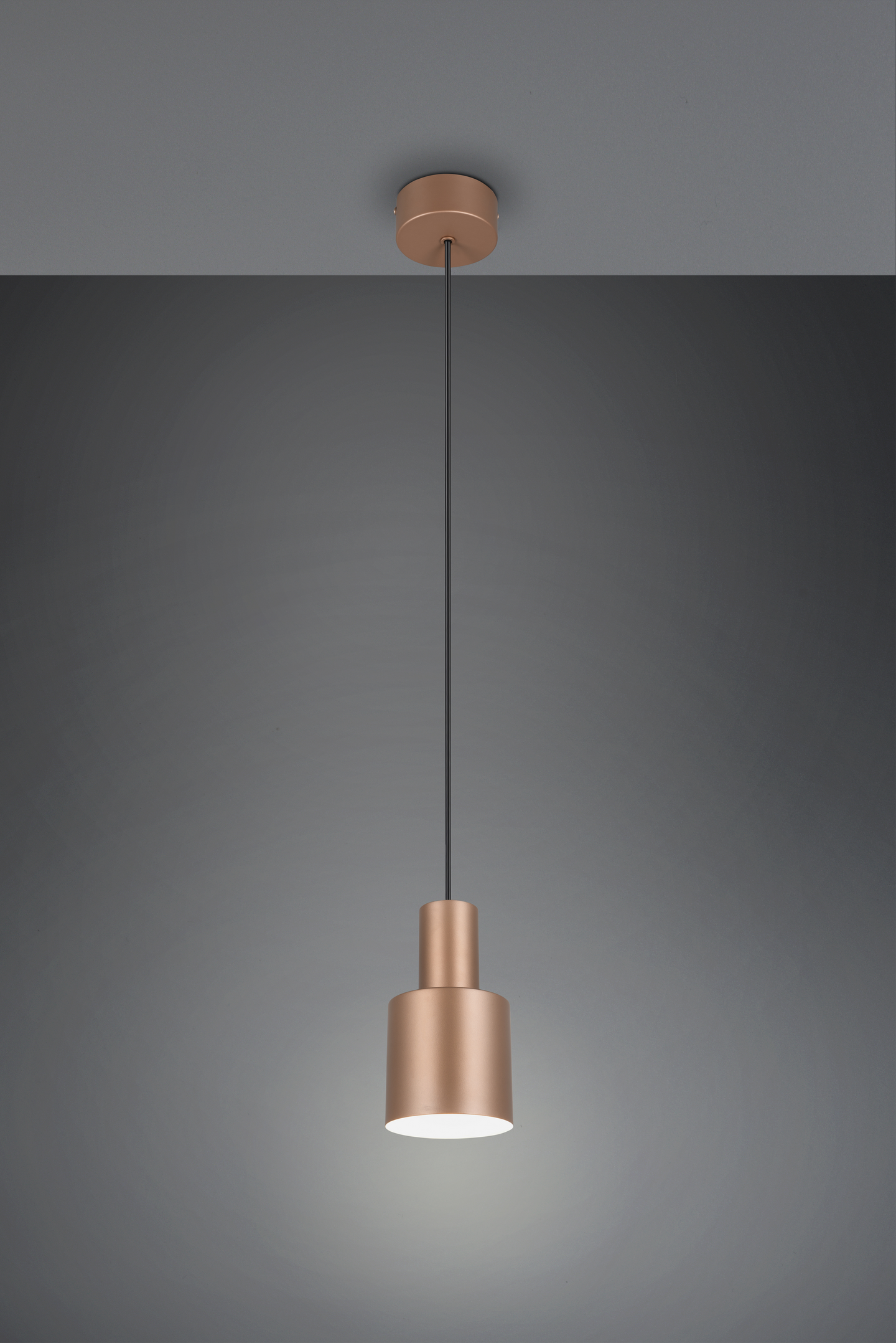 Riippuvalaisin TRIO Agudo E27 1-os kahvinruskea