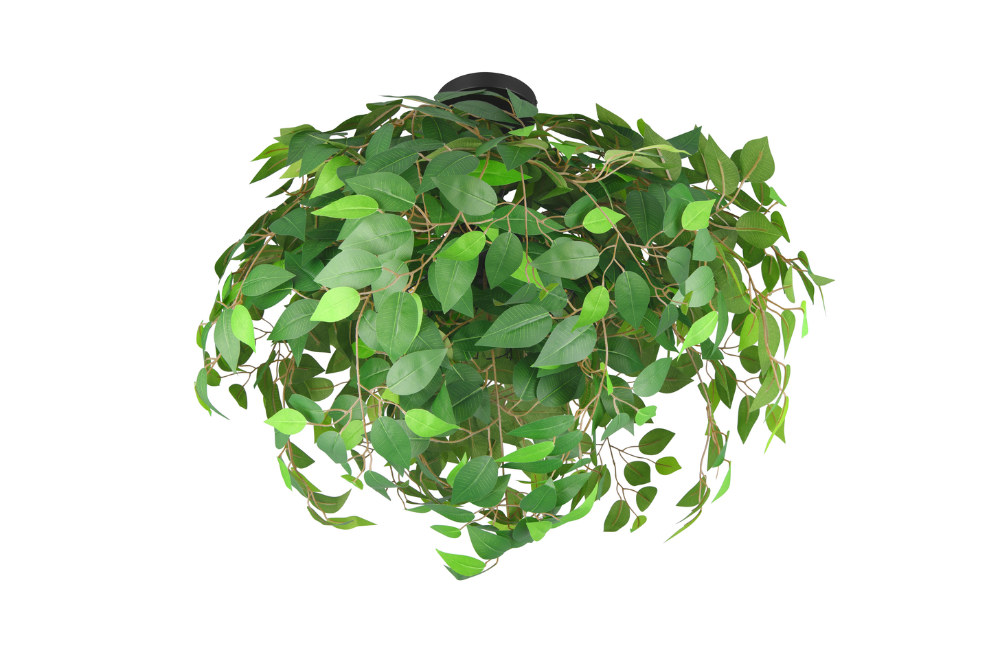 Kattovalaisin TRIO Leavy 3xE27 70 cm vihreä