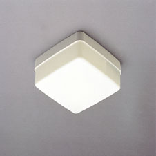 Yleisvalaisin Ensto AVR70 E27/75W IP44 neliö valkoinen