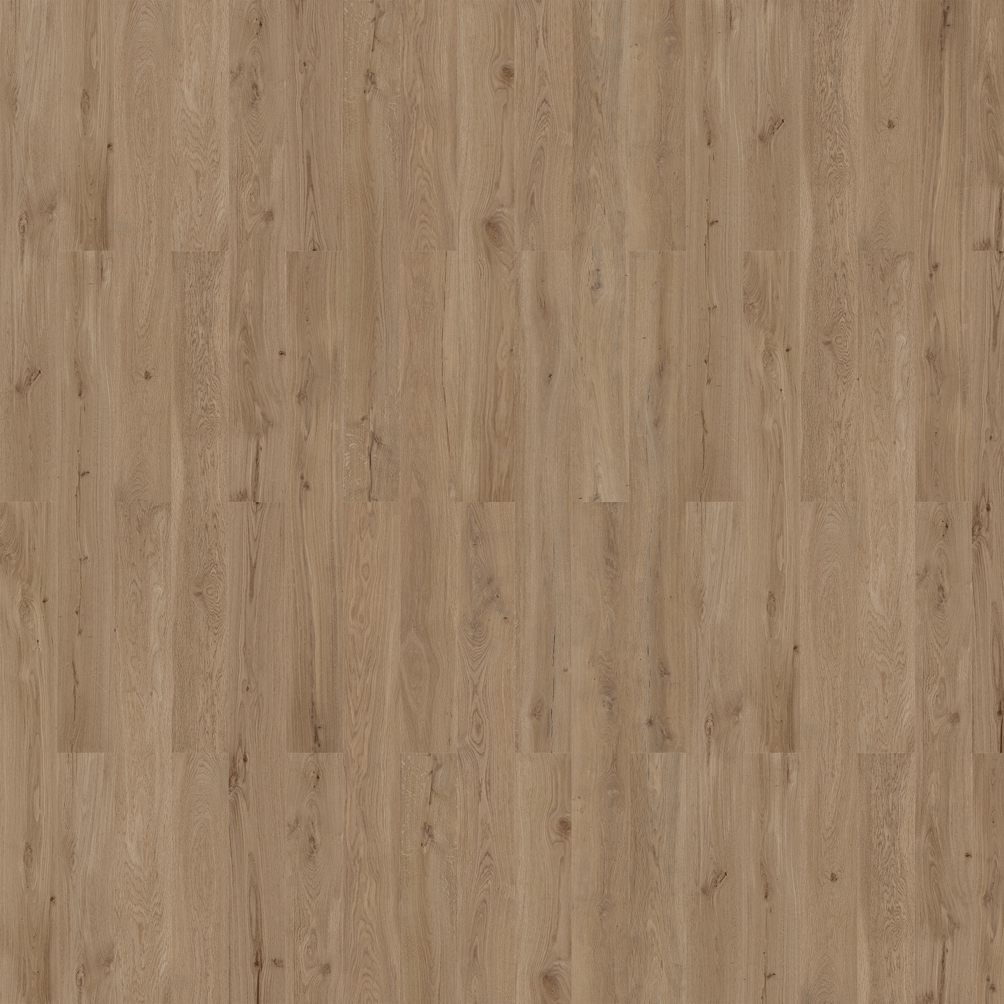 CORKFL CELLO WOOD EVERGREEN OAK 1,806M2
