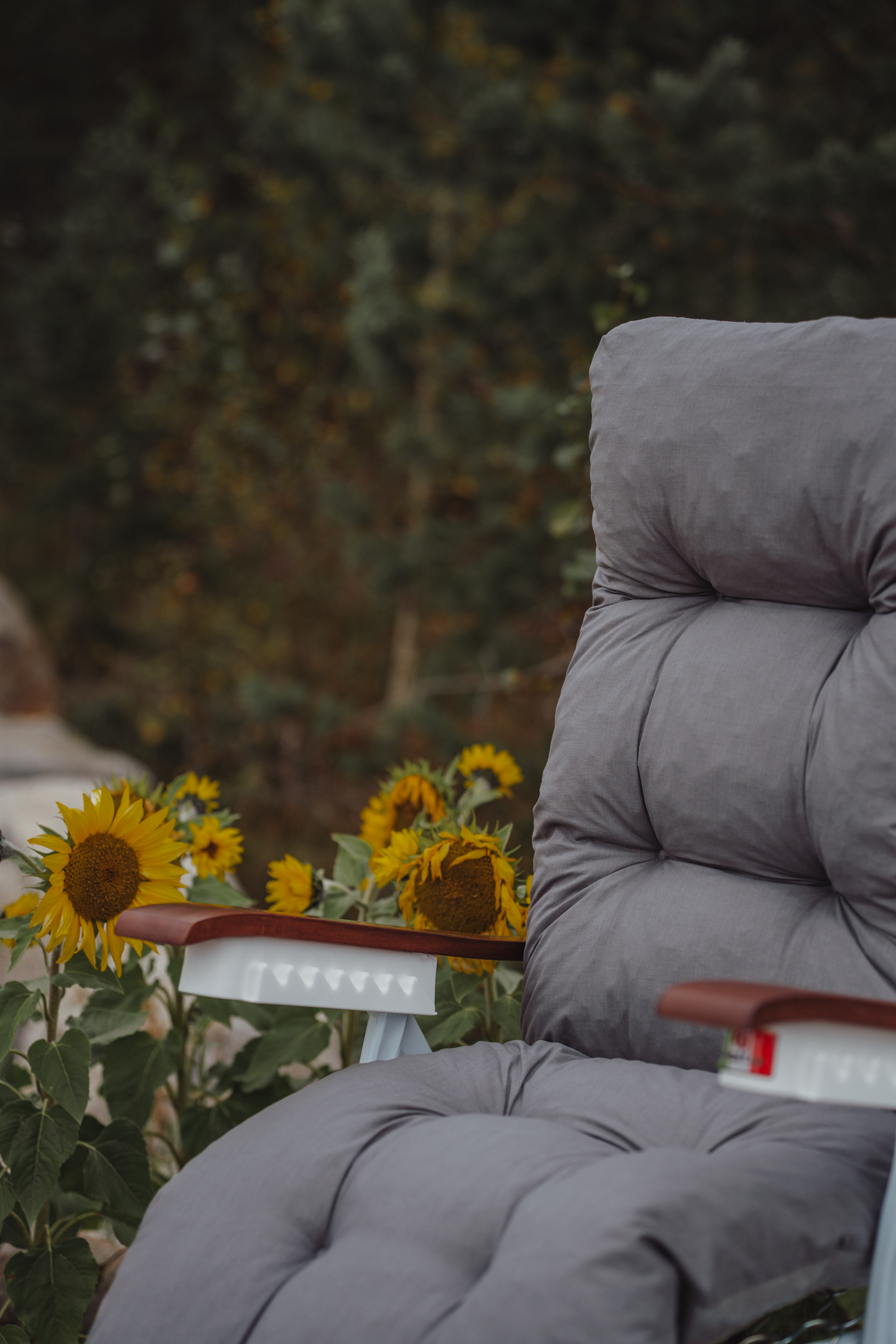 Baden baden -tuoli Varax valkoisella rungolla sis. pehmuste 60B harmaa