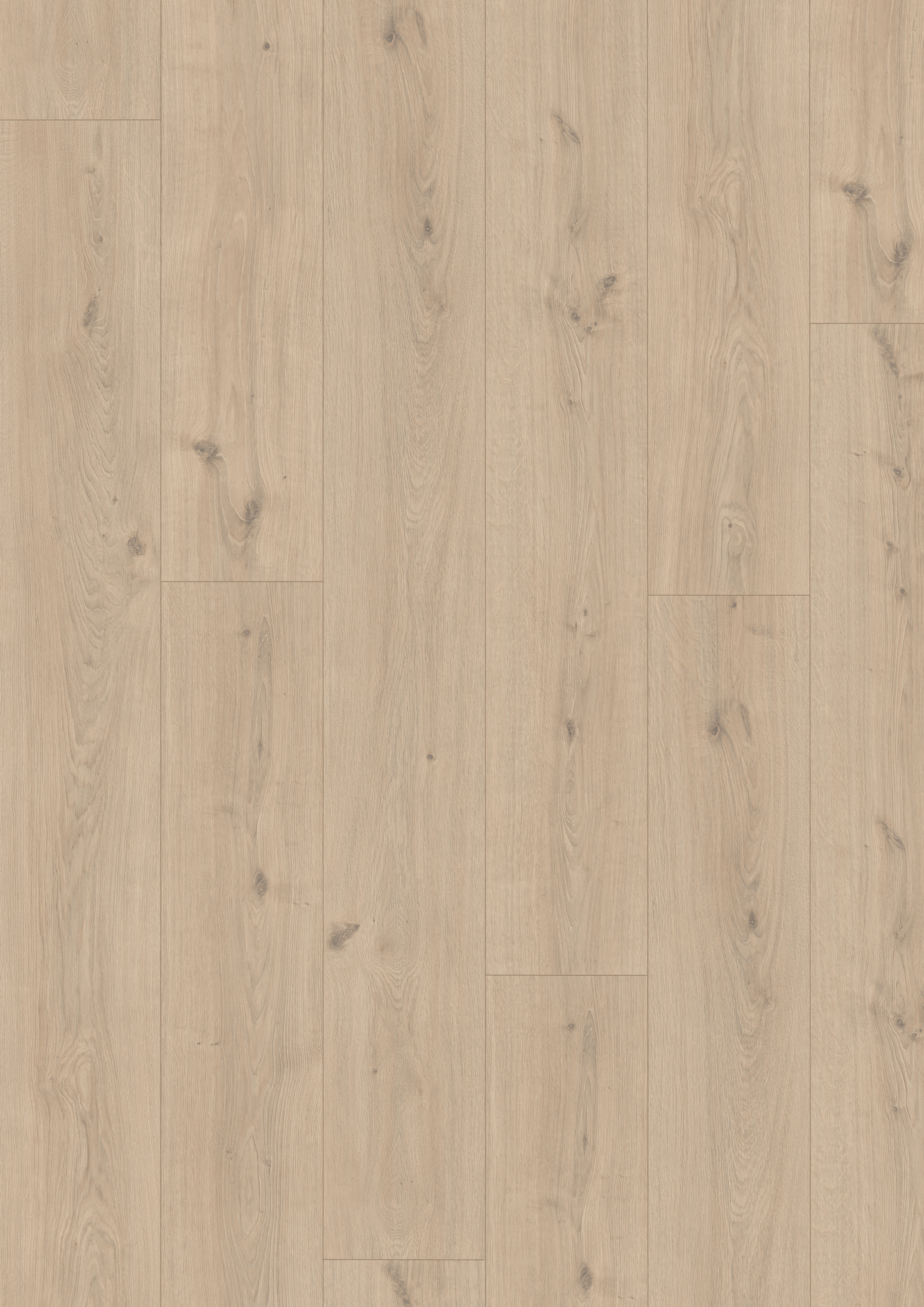 LAMINAT CREAMS OAK EL2195 EGGER 10MM  2,52M2