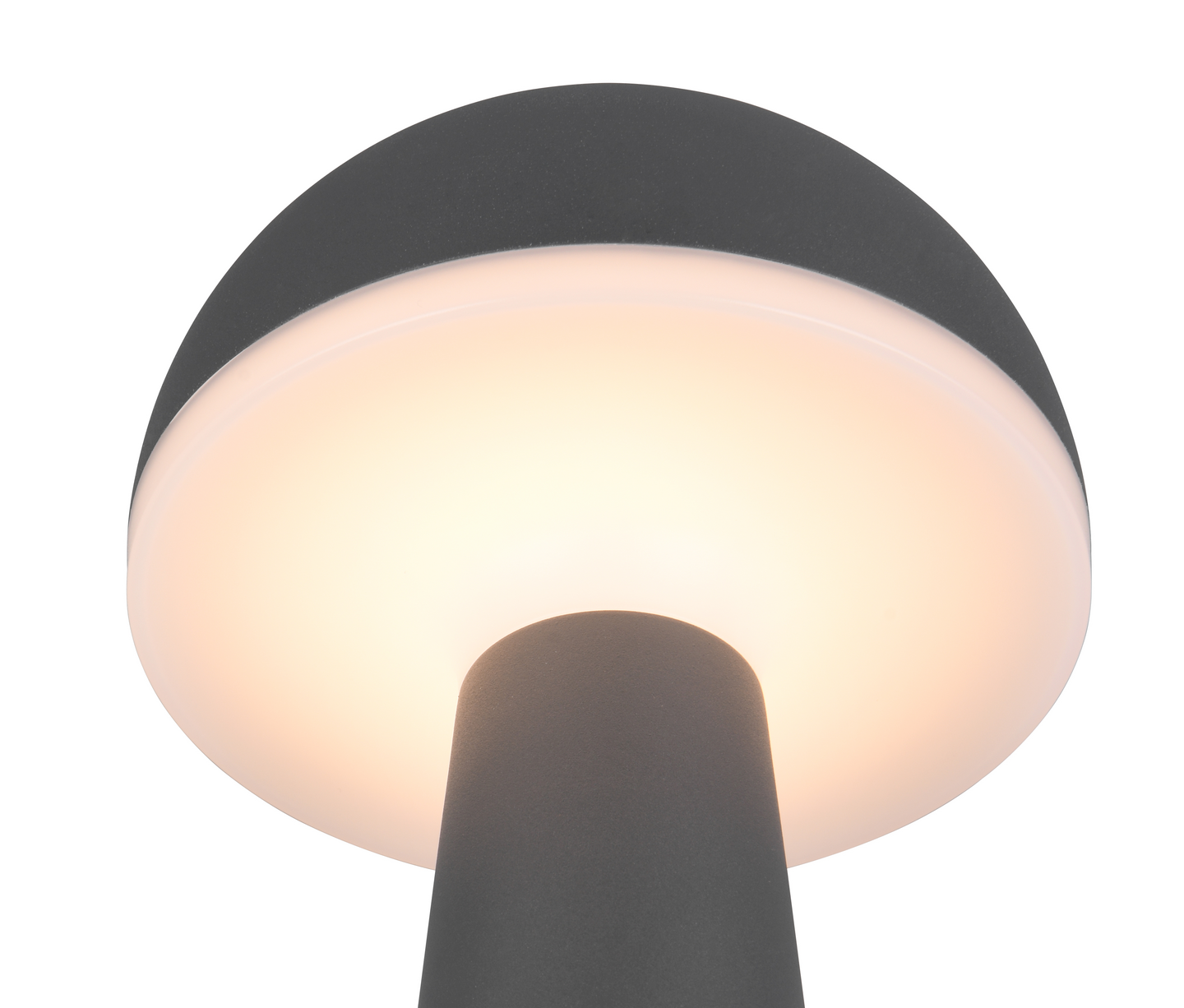 Ulkopöytävalaisin TRIO Fungo led 2W 200lm antrasiitti ladattava