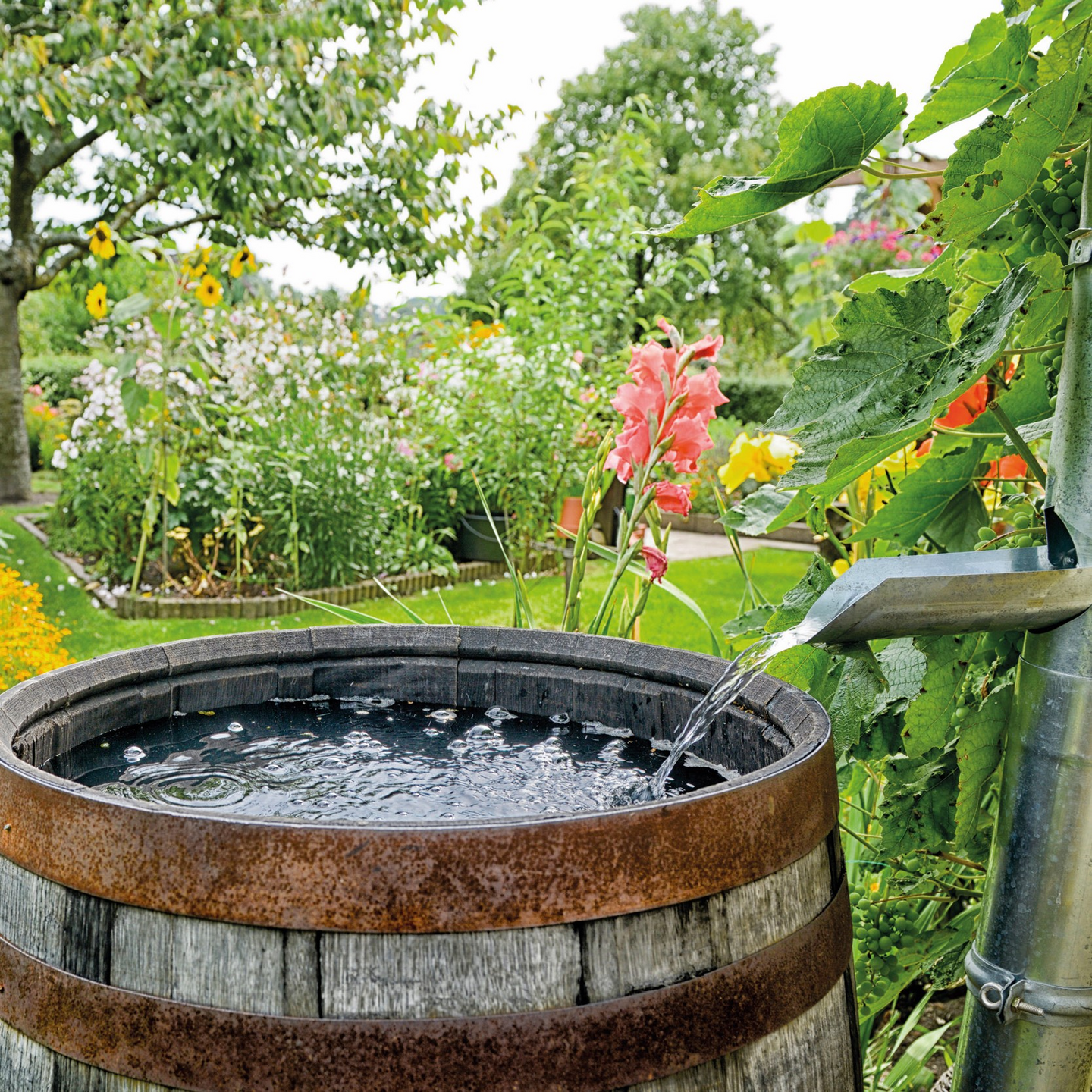 Akkupainepesuri Einhell Power-X-Change Hypresso 18/24-1 runko