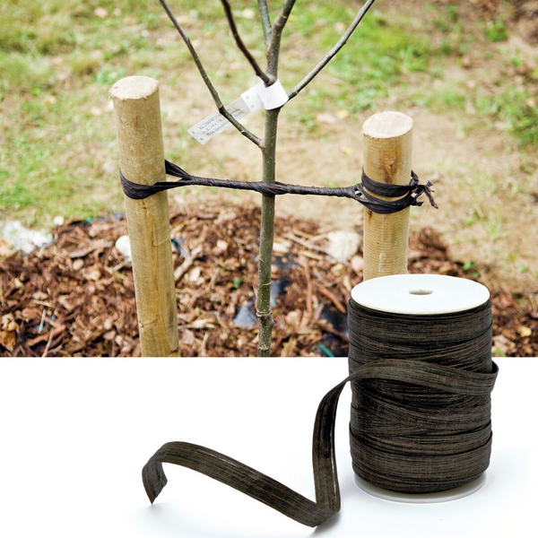 Tervanauha Tarha 10m