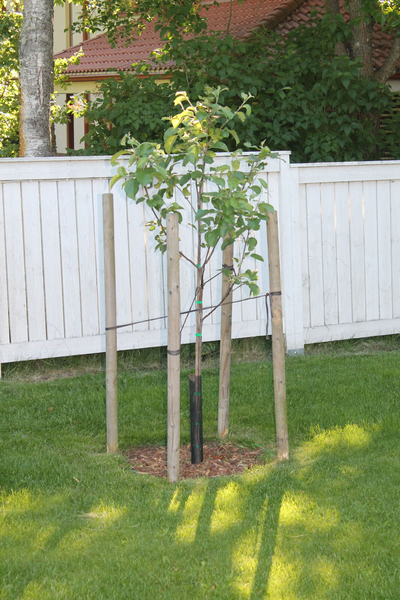 Rungonsuojaverkko 55cm 2kpl