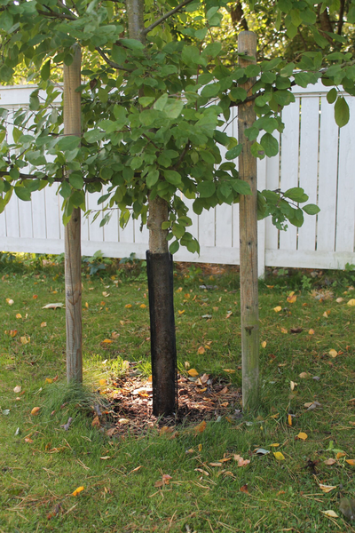 Rungonsuojaverkko 55cm 2kpl