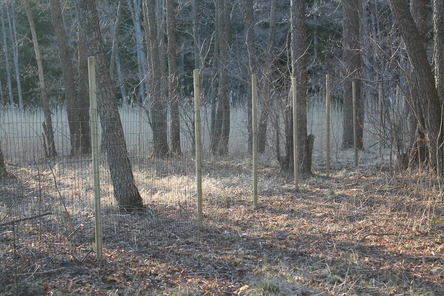 Aitatolppa 200cm halkaisija 50mm