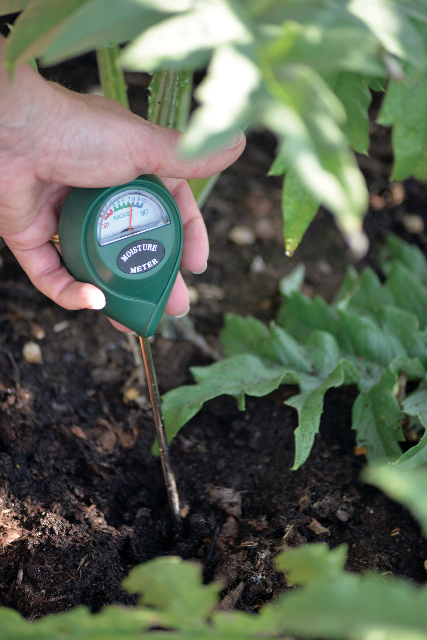 FUKTIGHETSMÄTARE NELSON GARDEN TRÄDGÅRD