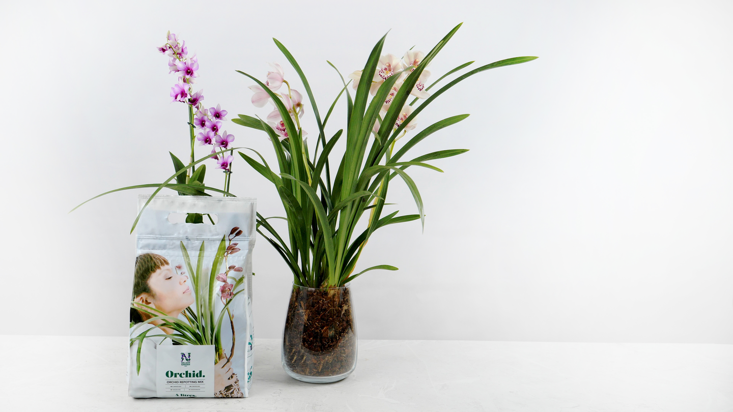 ORKIDEJORD NELSON GARDEN 4L