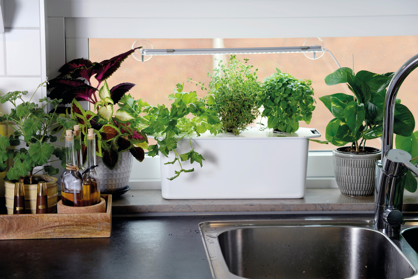 HARVY NELSON GARDEN HYDROPONISK ODLING, 3, VITT LOCK KIT