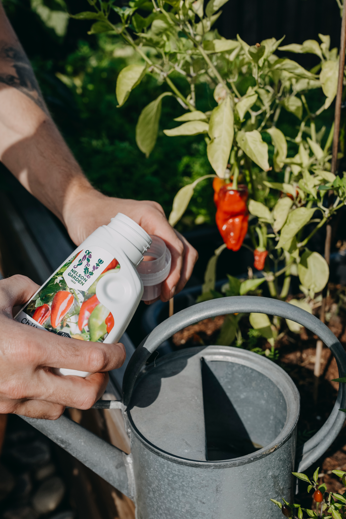 CHILINÄRING NELSON GARDEN 250ML