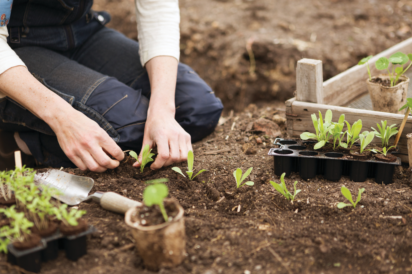 ODLINGSPLUGG NELSON GARDEN 14ST/FRP