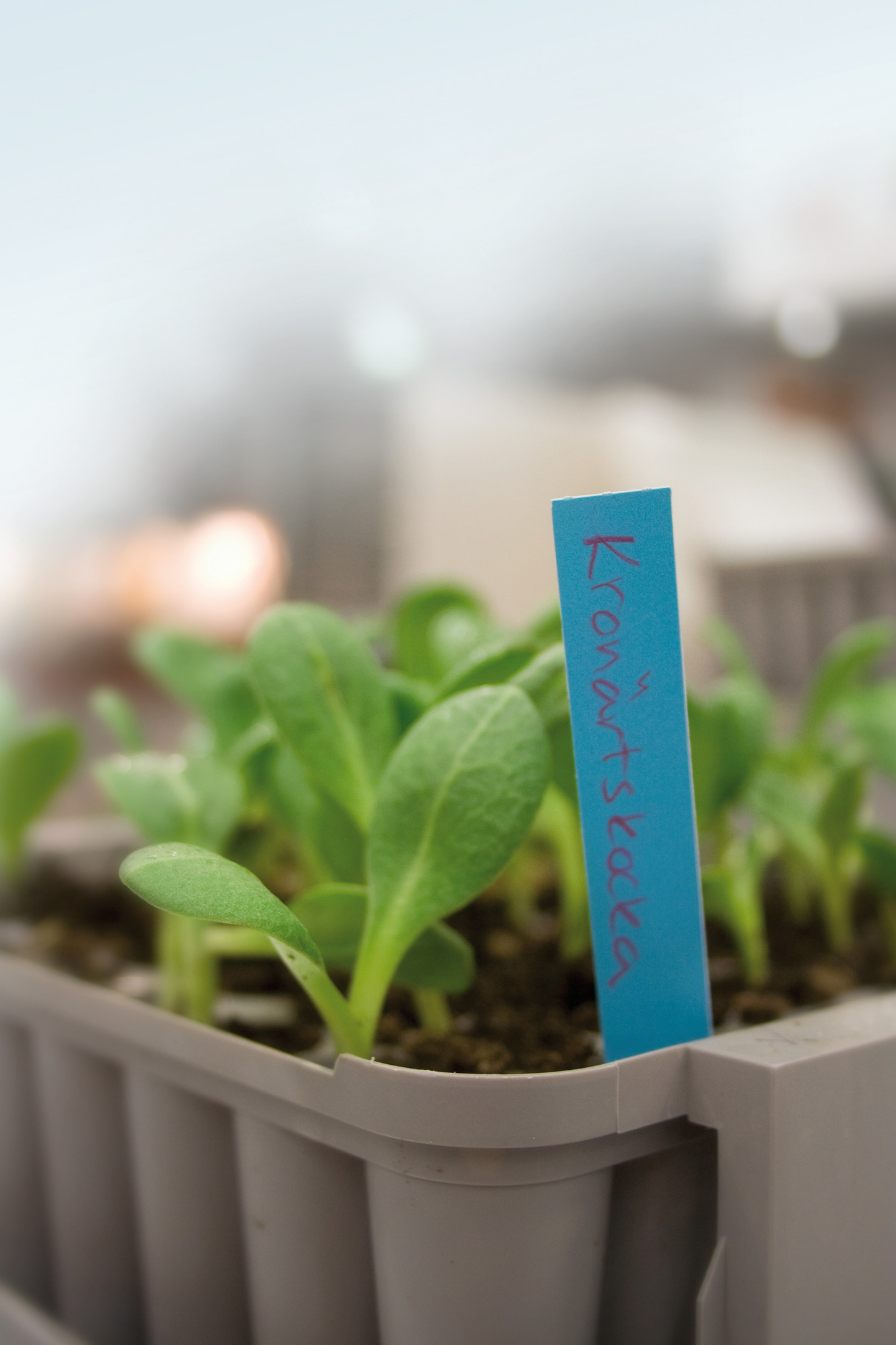 MINIDRIVHUS NELSON GARDEN PLUGGBOX