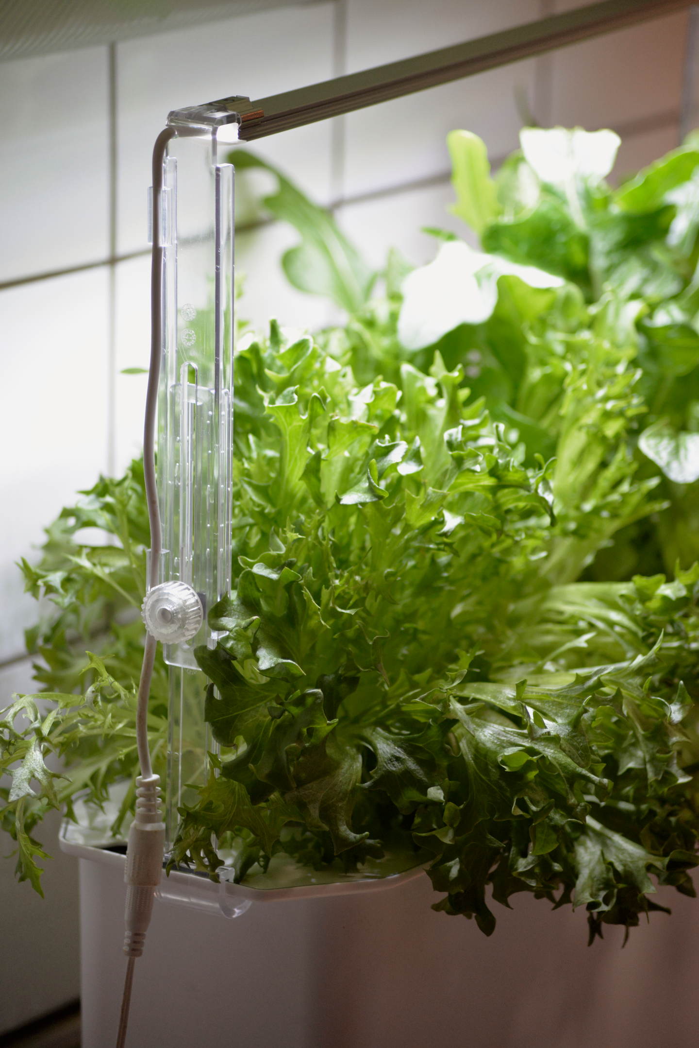 LEDRAMPSHÅLLARE NELSON GARDEN TILL HARVY, JUSTERBAR