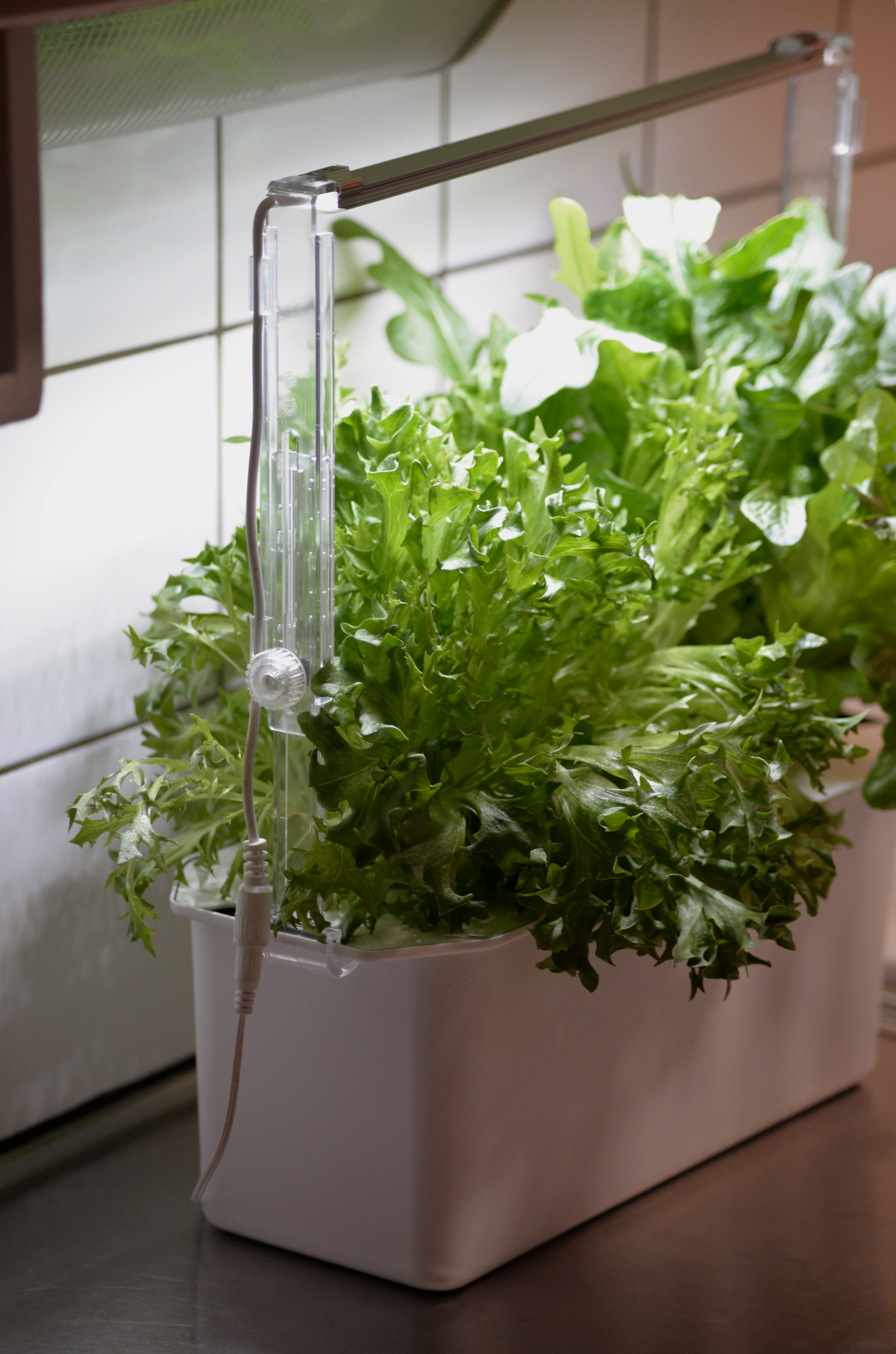 LEDRAMPSHÅLLARE NELSON GARDEN TILL HARVY, JUSTERBAR