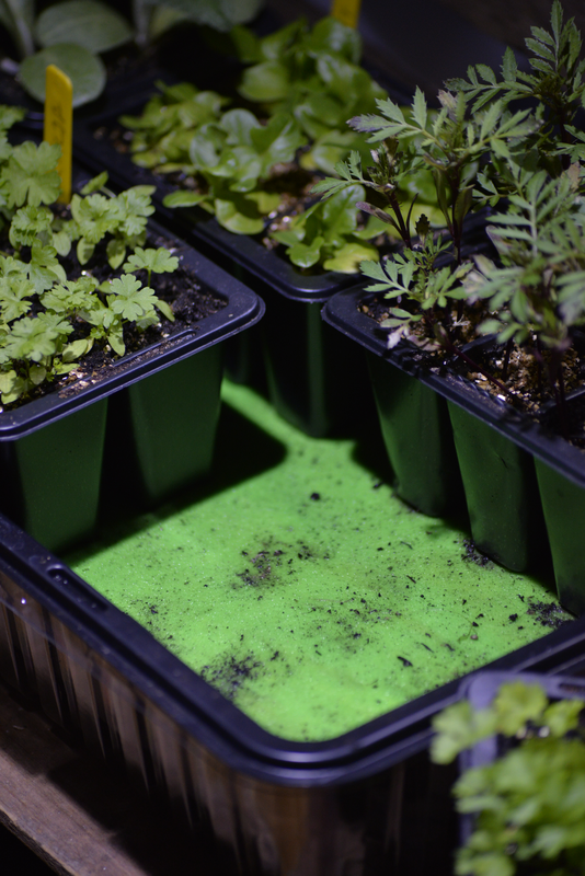 BEVATTNINGSMATTA NELSON GARDEN 0,5X1M