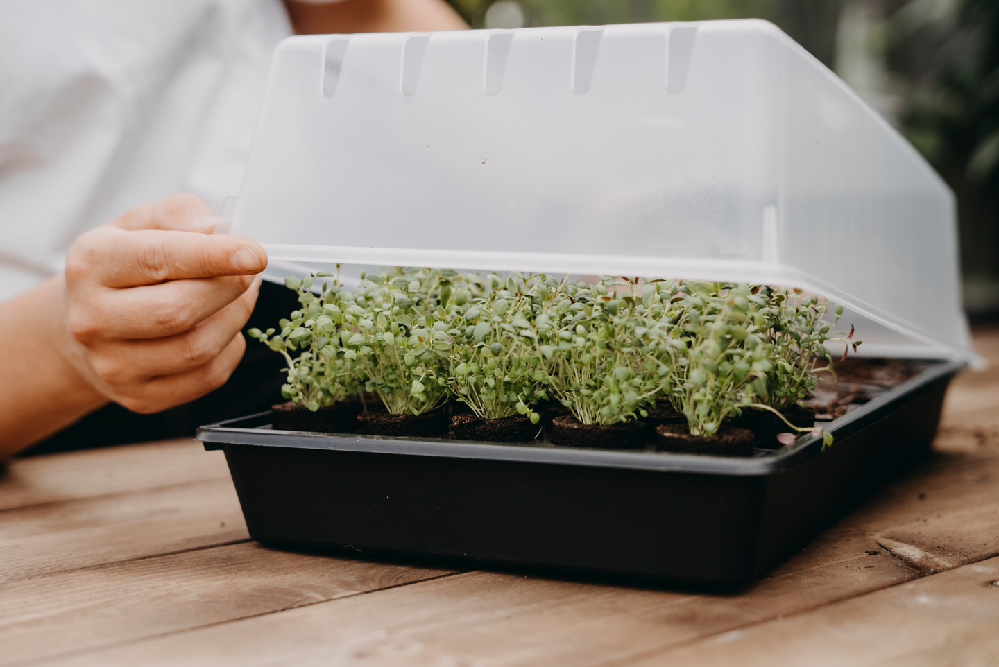 MINIDRIVHUS NELSON GARDEN AIR BRÄTTEN 24X38