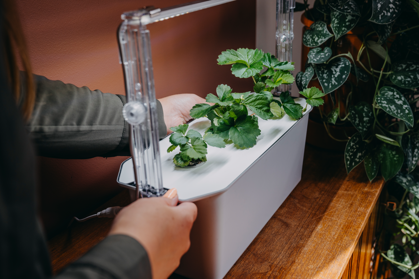 LEDRAMPSHÅLLARE NELSON GARDEN TILL HARVY, JUSTERBAR