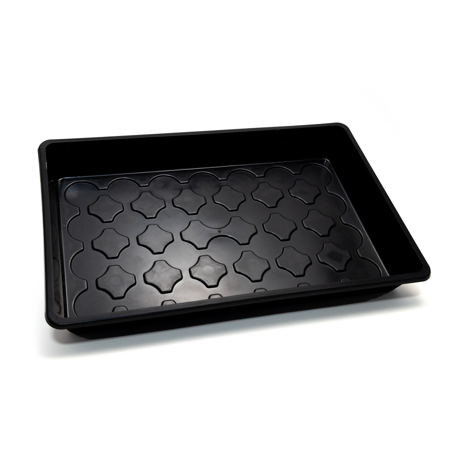 ODLINGSTRÅG, NELSON GARDEN 23X37CM