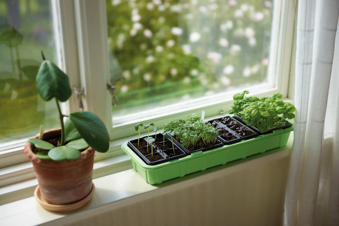 MINIDRIVHUS NELSON GARDEN WINDOW M 24 KRUKOR