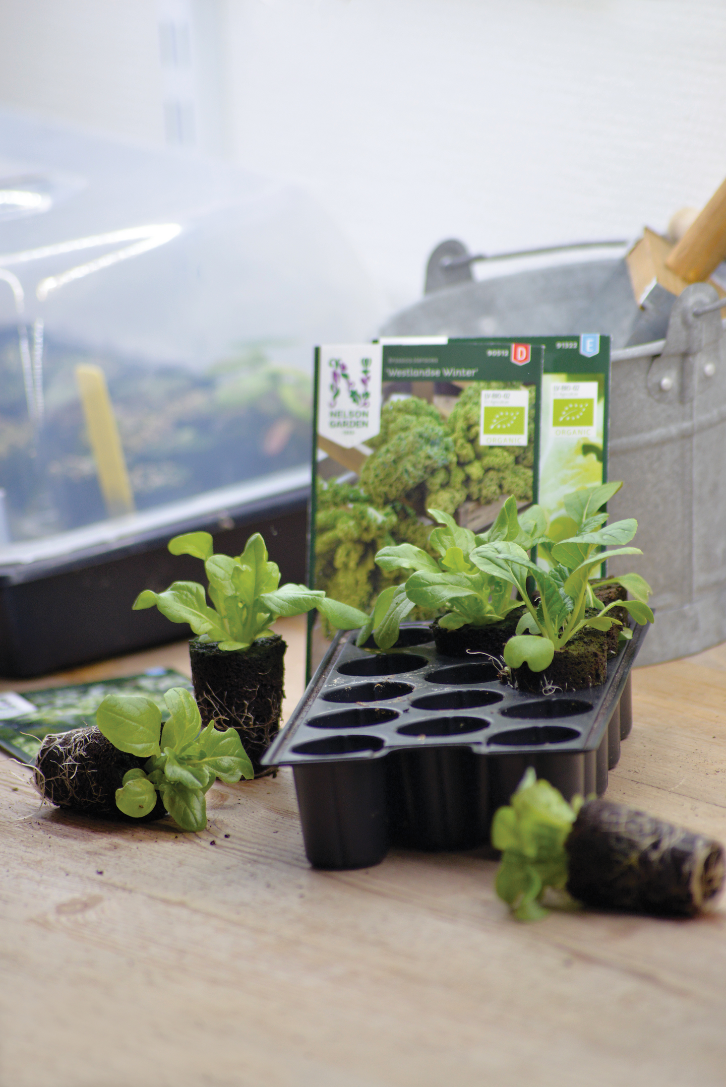 ODLINGSPLUGG NELSON GARDEN 14ST/FRP