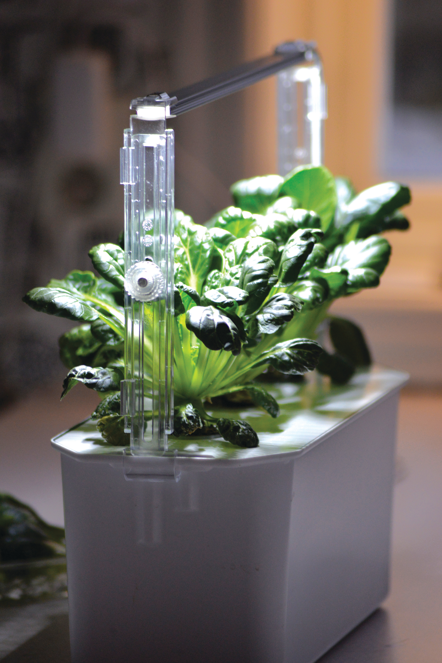 LEDRAMPSHÅLLARE NELSON GARDEN TILL HARVY, JUSTERBAR