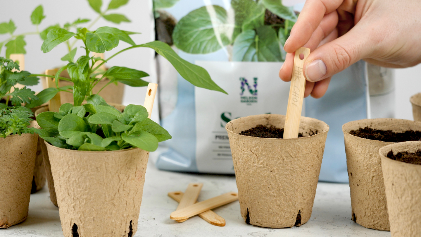 SÅJORD PREMIUM 4L NELSON GARDEN