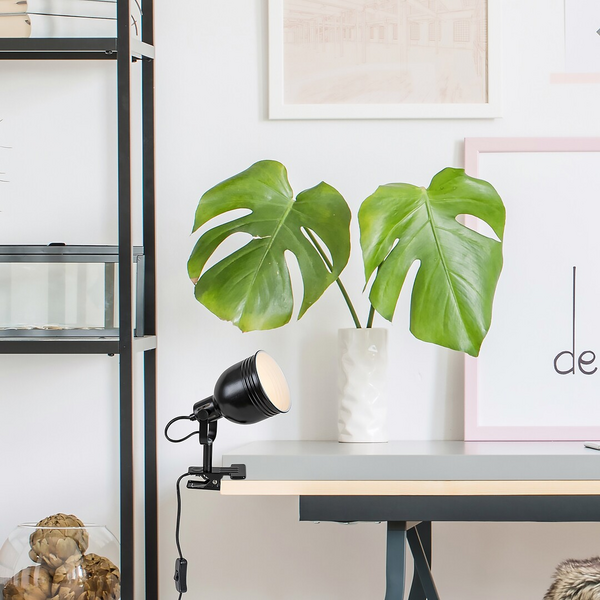 Klipsivalaisin Rabalux FLINT 110mm E14 max.25W musta