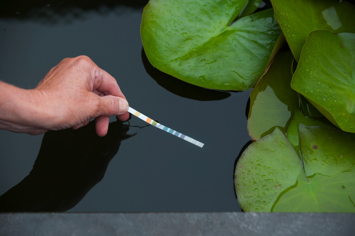 Lampiveden testiliuska Aqua MultiTest