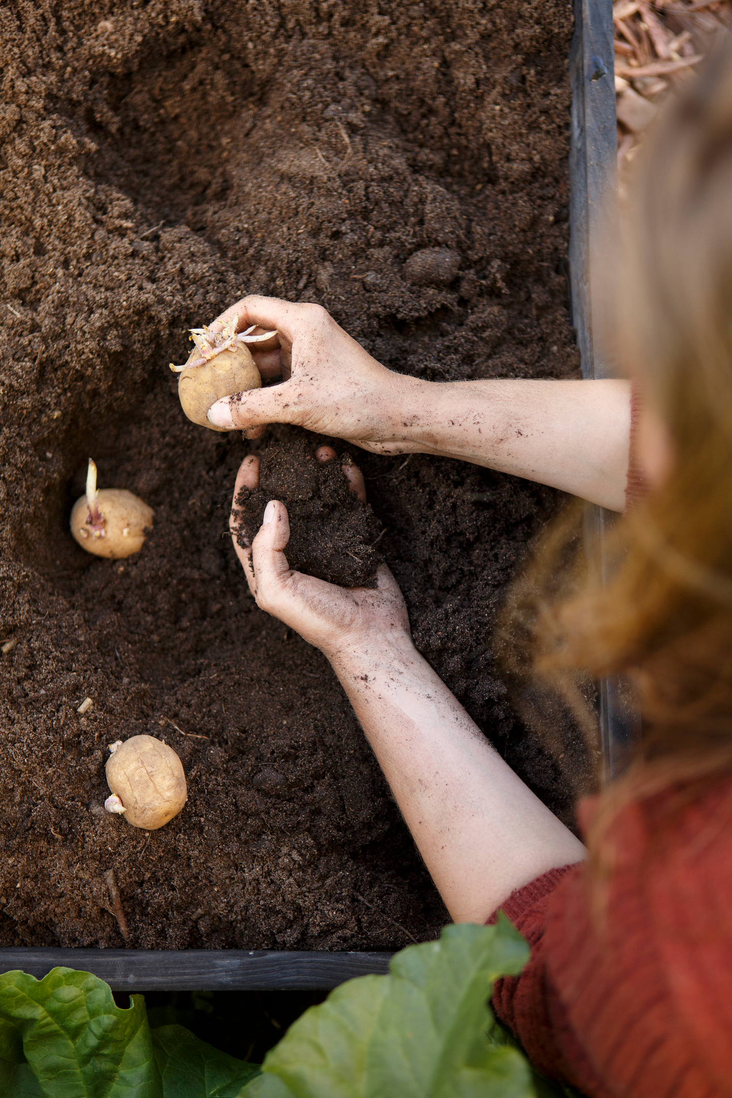 Perunalannoite Kekkilä 3l luonnonmukainen