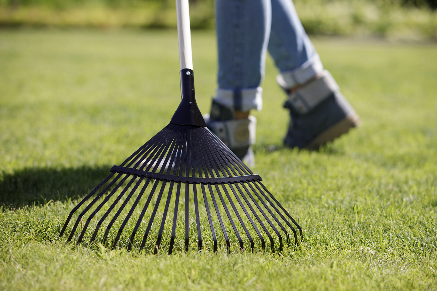 Nurmikon sammalsyöjä Kekkilä Plus+ 5l