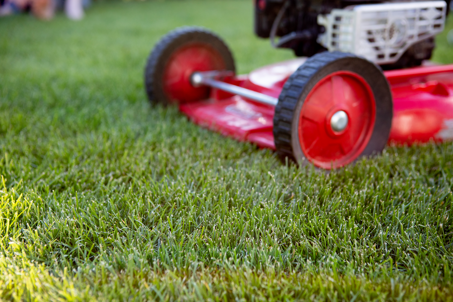 Nurmikon sammalsyöjä Kekkilä Plus+ 20l