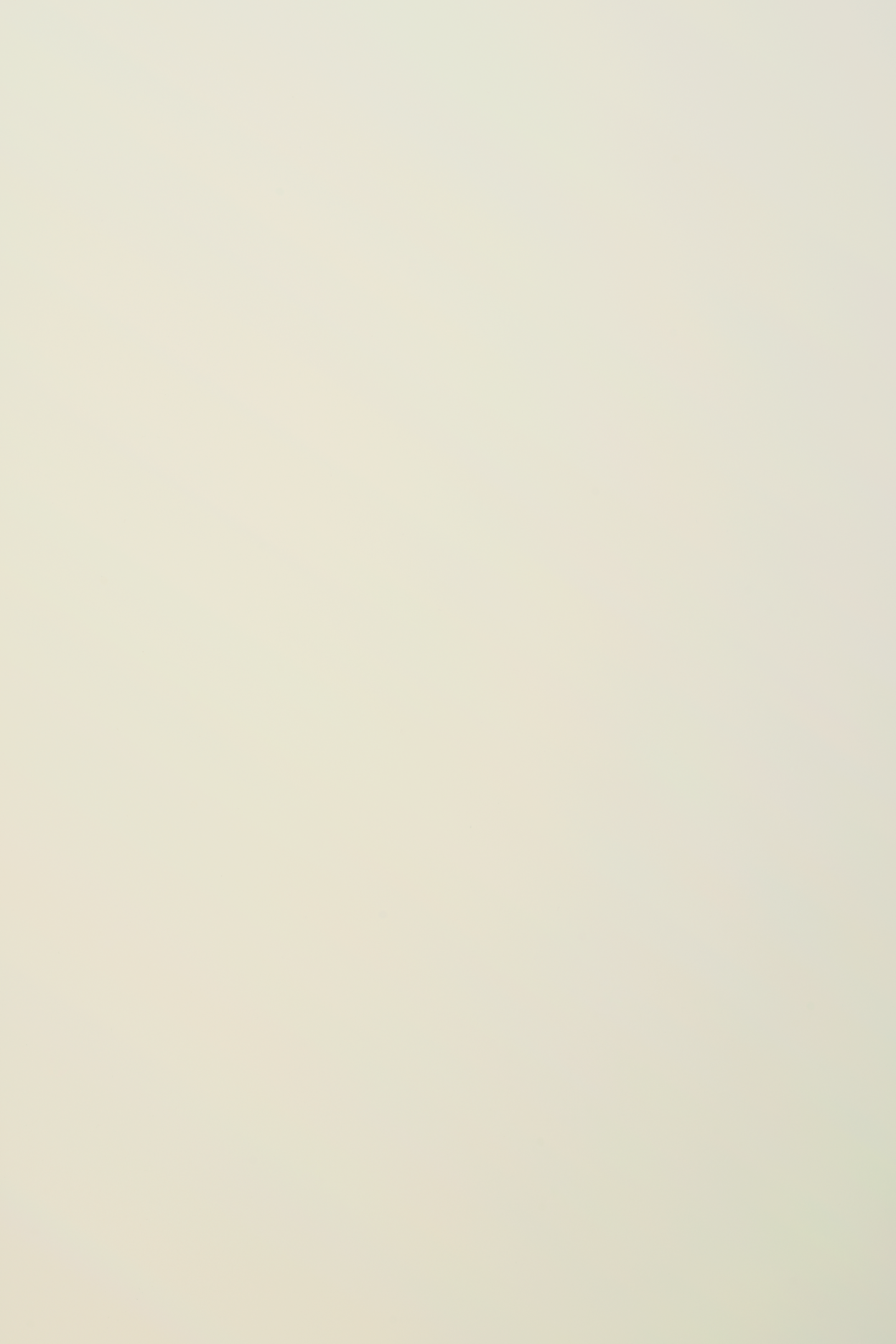 Kontaktimuovi DC-Fix 346-8103 0,675x2m kiiltävä vaalea