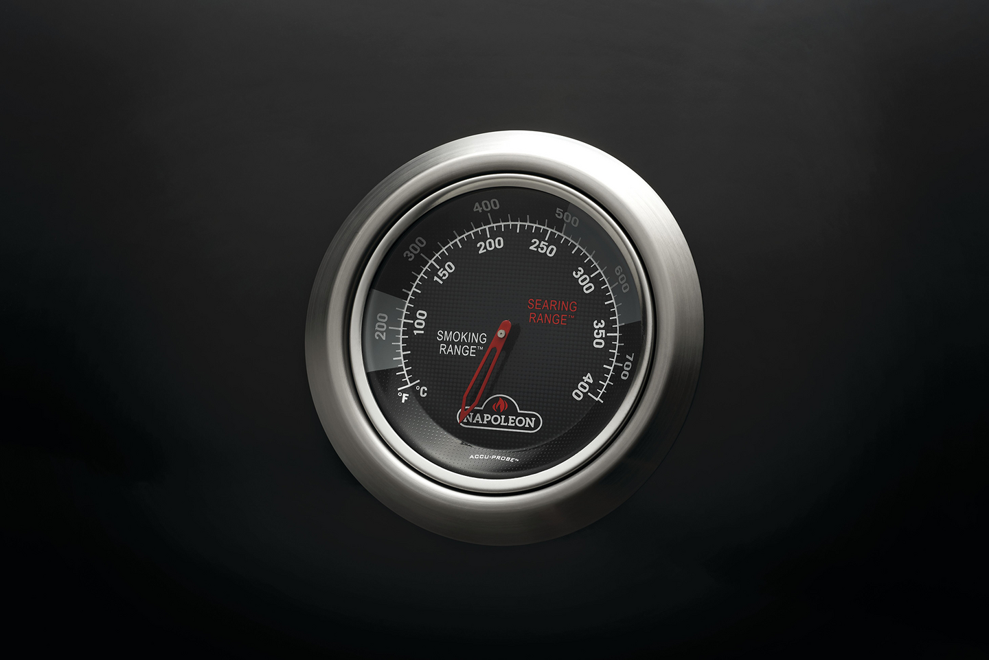 Kaasugrilli Napoleon Legend 365