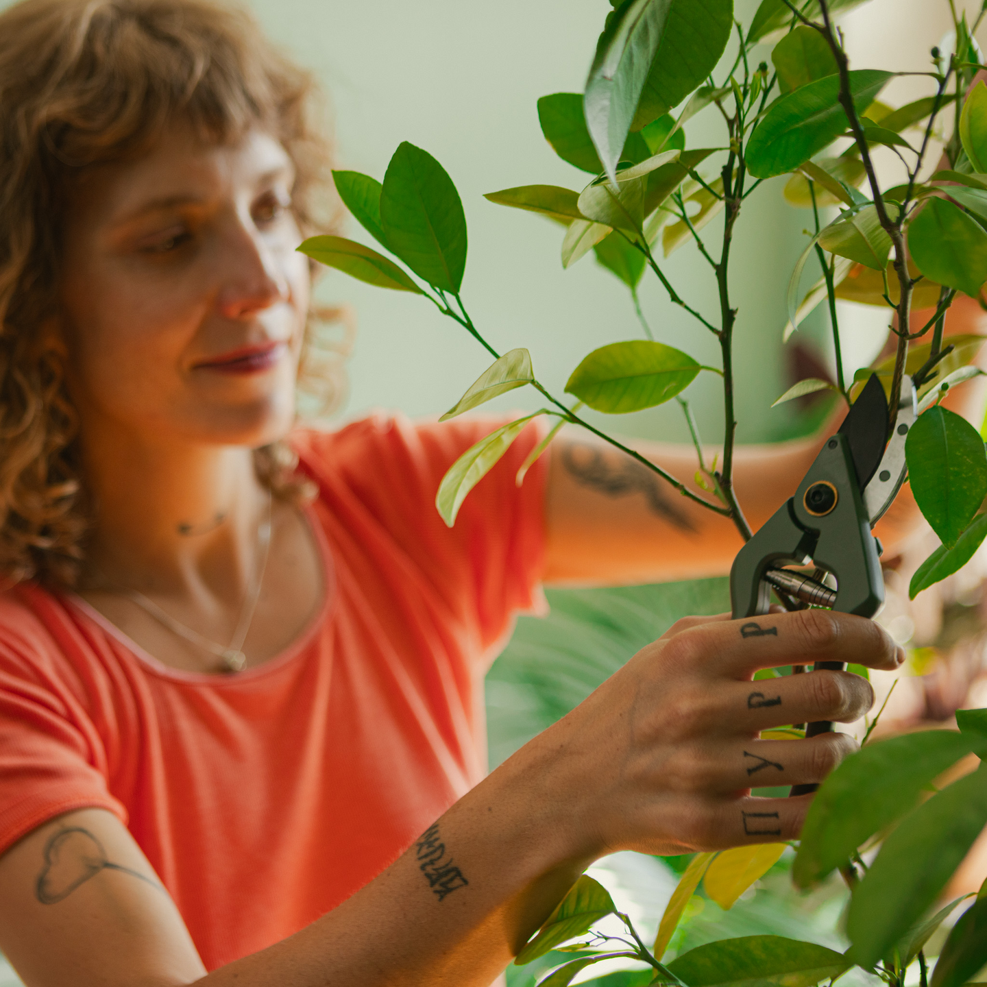 Oksasakset Fiskars viherkasveille+teline