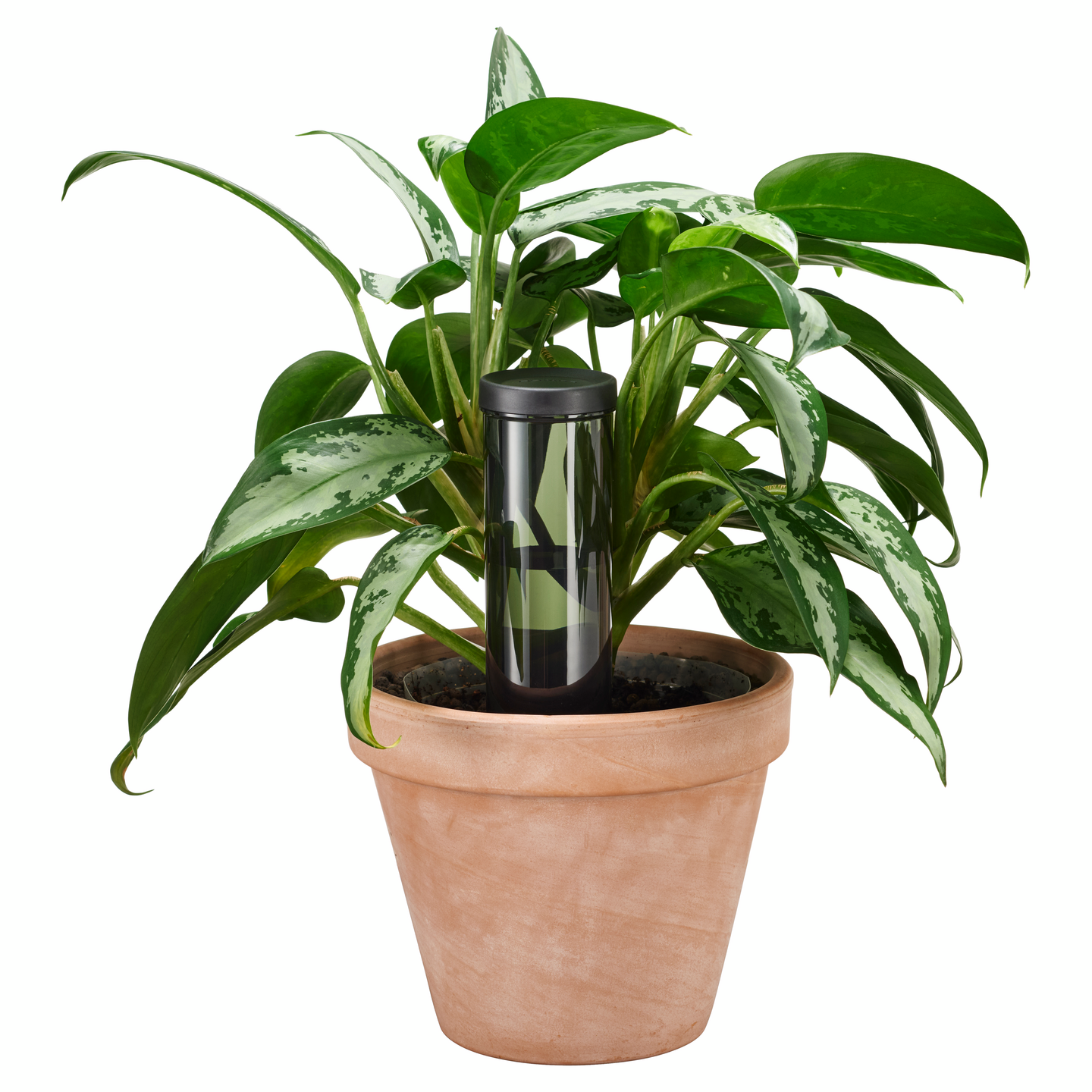 Kastelupiikki Fiskars viherkasveille