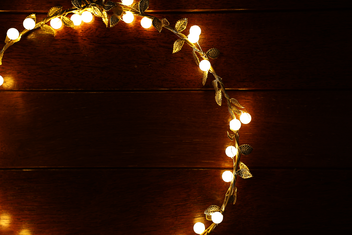 Valokranssi Cello Leaf 30led IP20