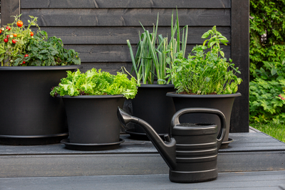 Kastelukannu Orthex Splash 10l musta