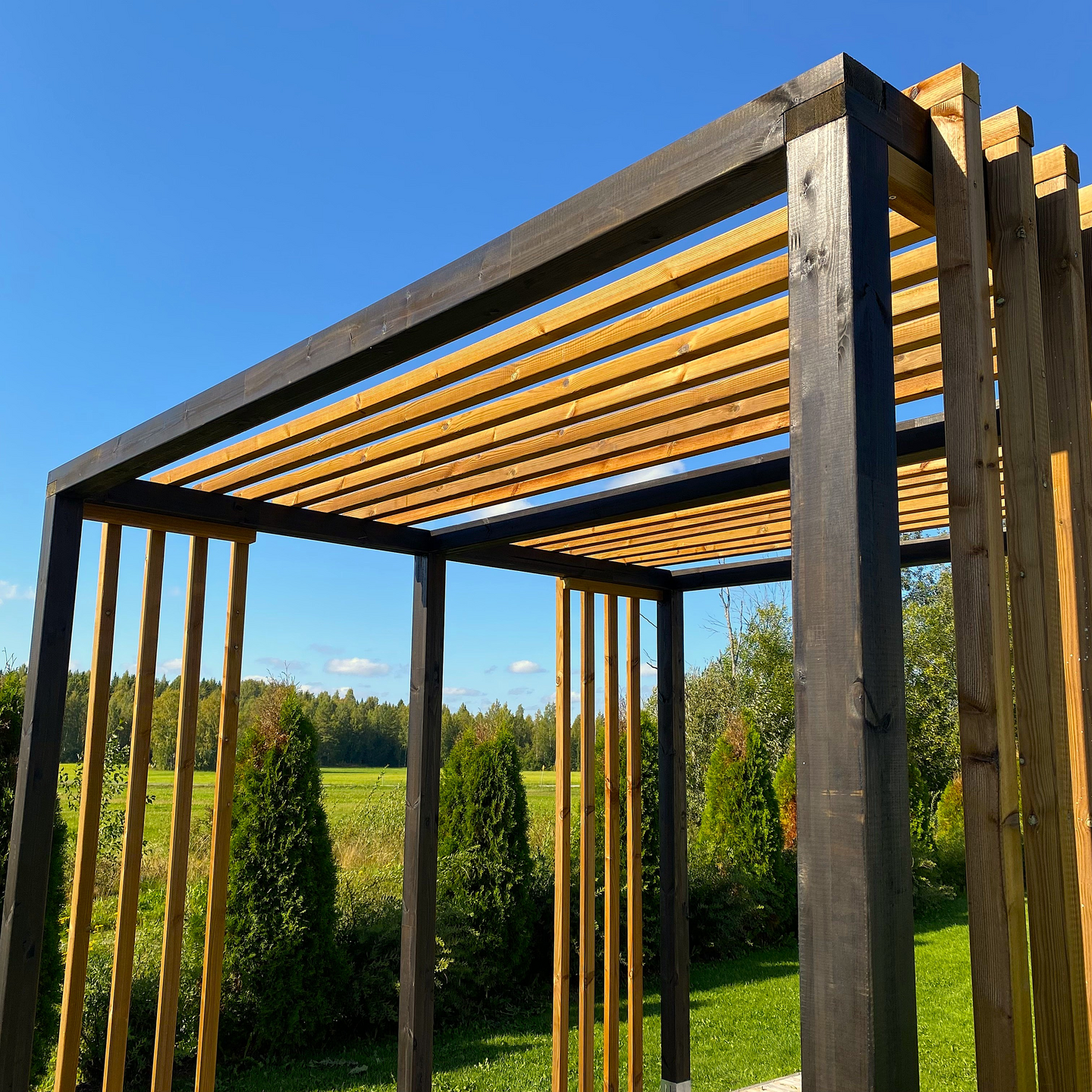 Pergola 3x4 Modern