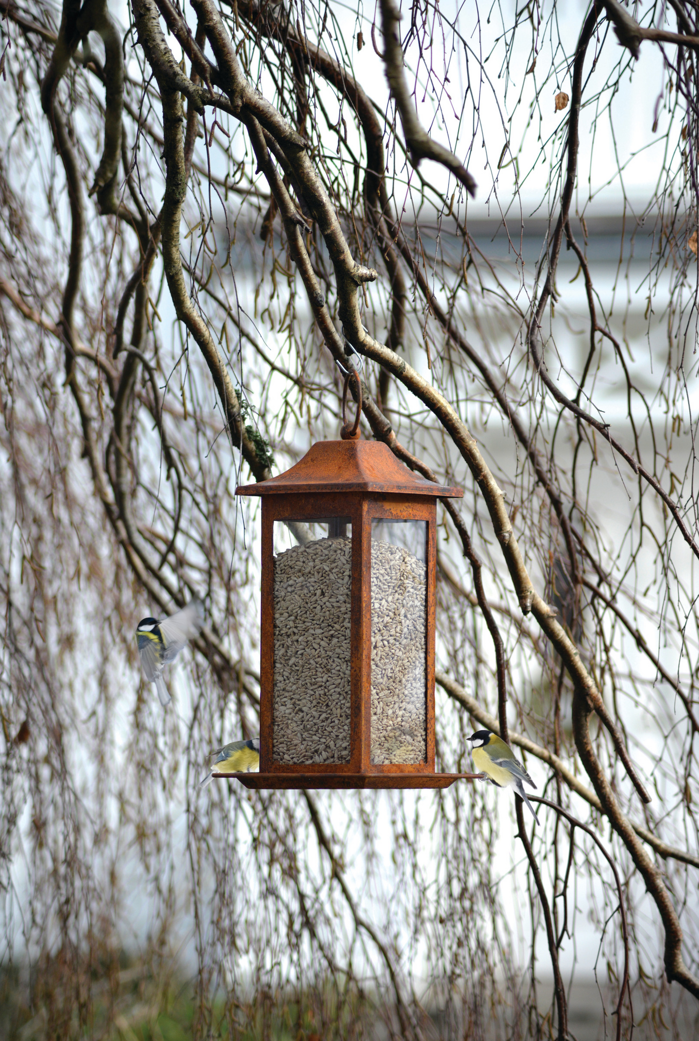 FÅGELMATARE NELSON GARDEN FRÖ RUSTY 33 CM