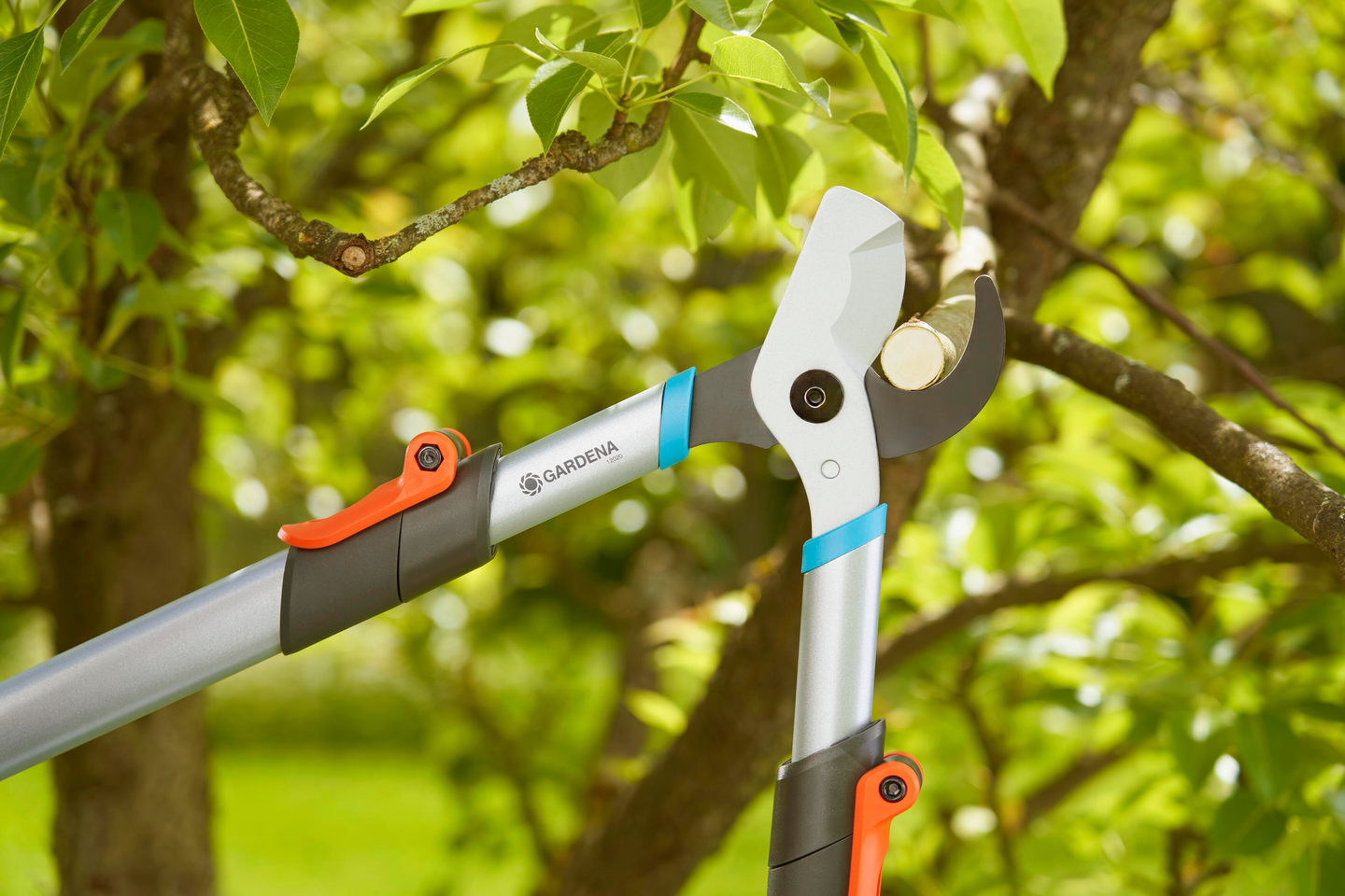 Raivaussakset Gardena TeleCut Basic