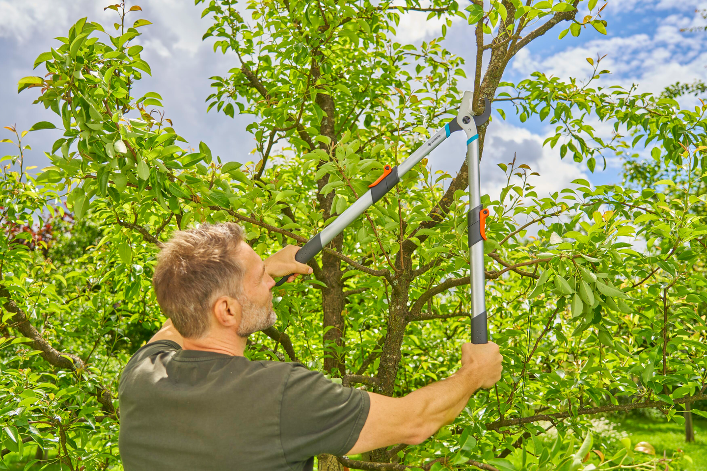 Raivaussakset Gardena TeleCut Basic