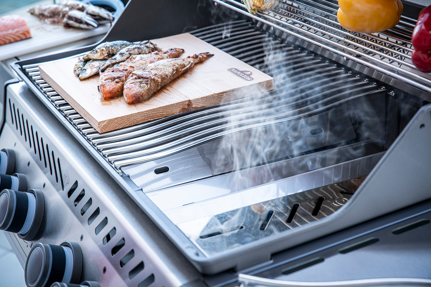 Savulastuputki Napoleon Prestige/Rogue