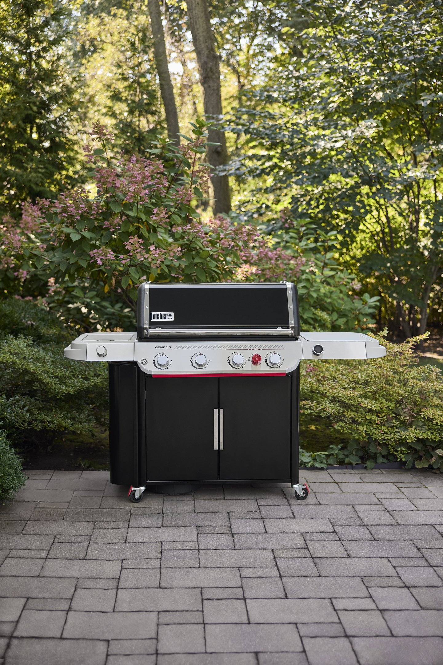 Kaasugrilli Weber Genesis EP-435W