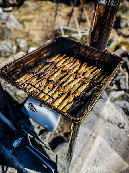 Savustin Narvi Kota 502010