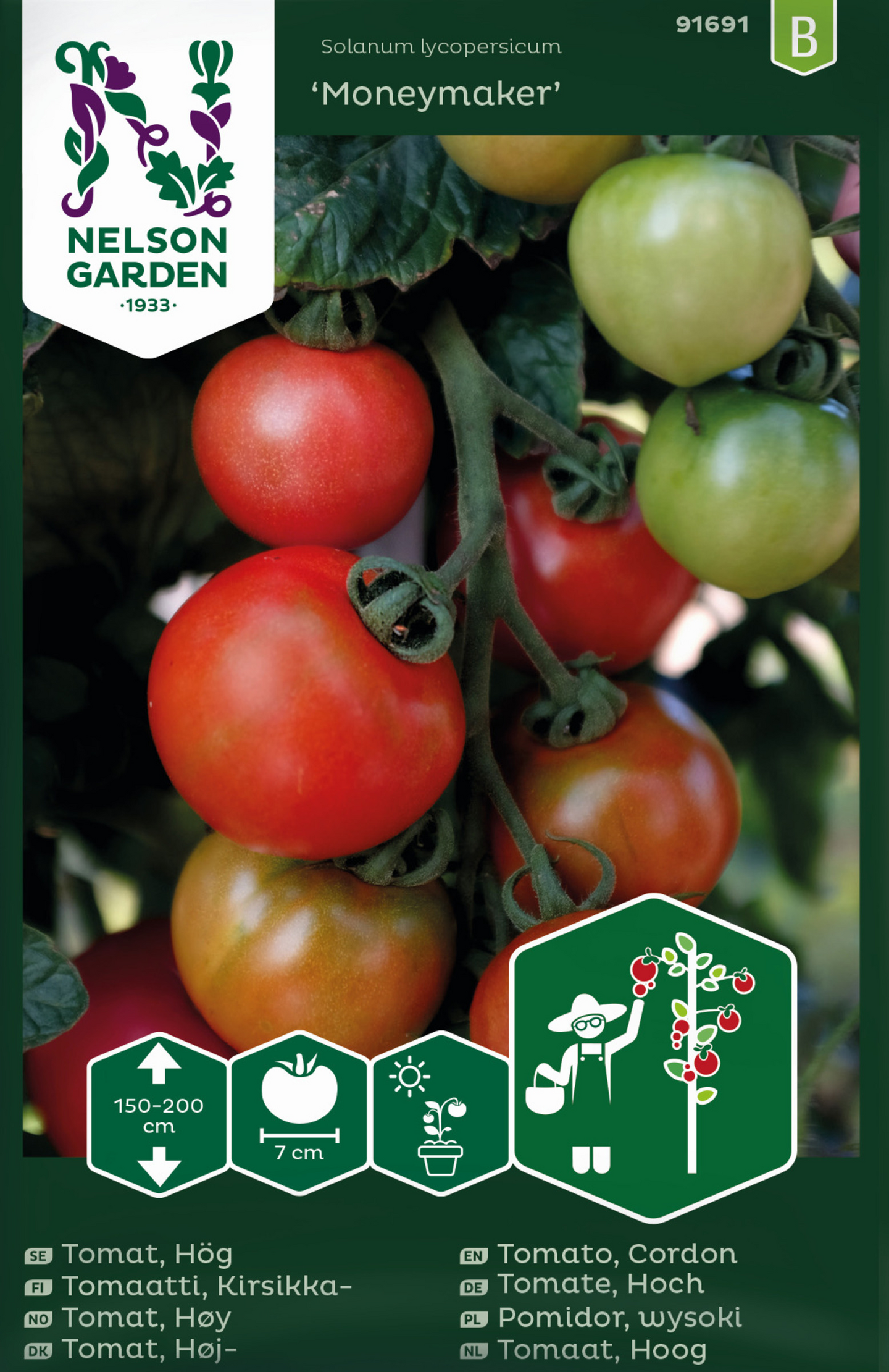 Tomaatti siemen Nelson Garden Moneymaker