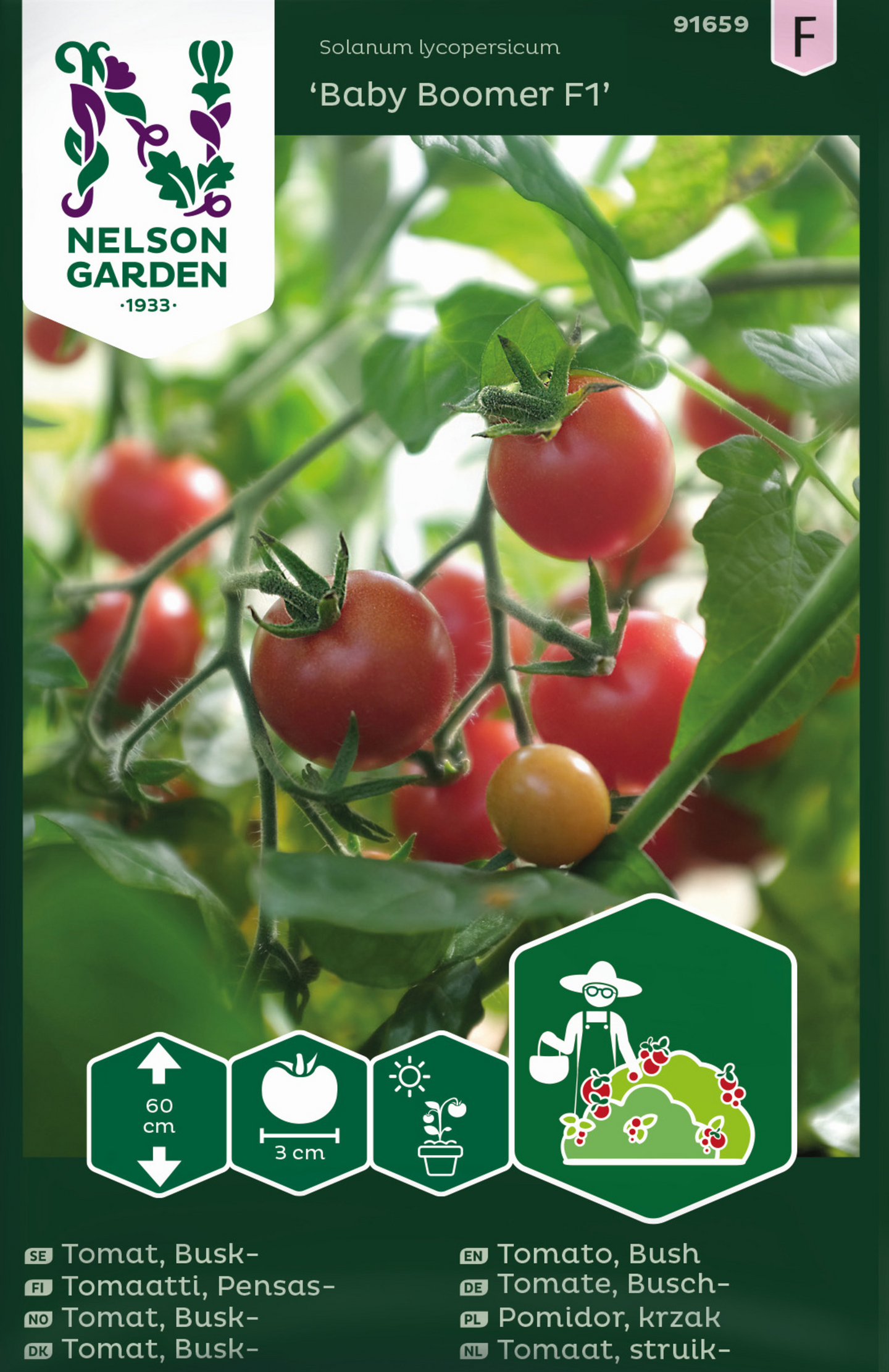 Ruukkutomaatti siemen Nelson Garden Baby boomer