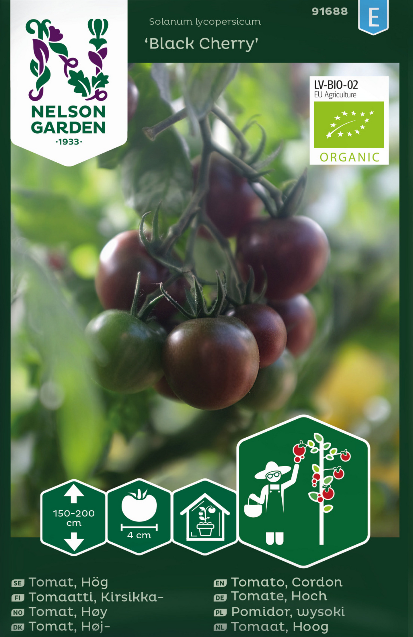Tomaatti siemen Nelson Garden Black cherry luomu