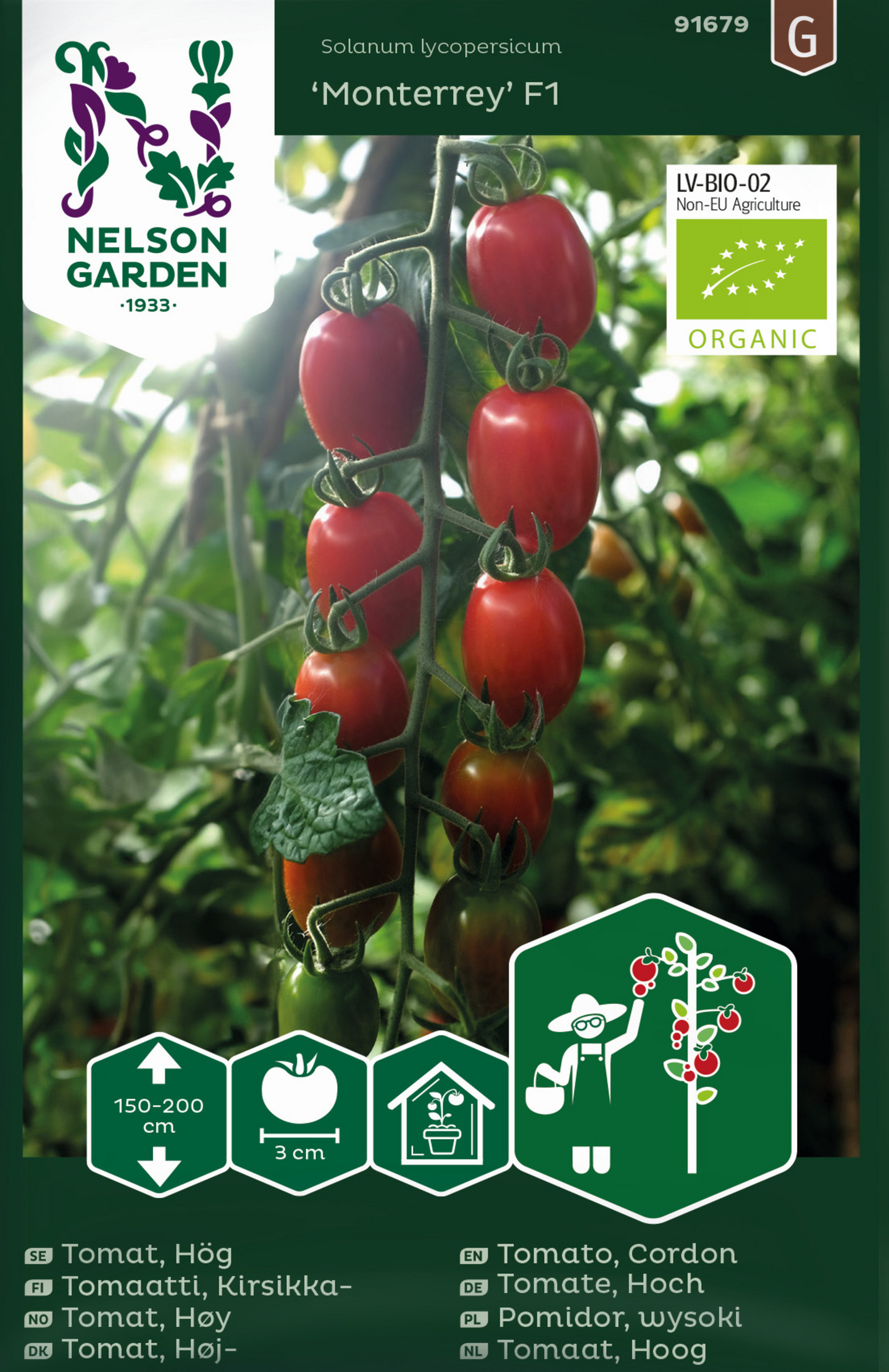 Tomaatti siemen Nelson Garden Monterrey F1 luomu